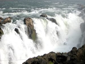 2458227717_b6a5fe0ce6_z